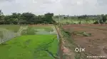 20 lakh per Acre Only,3.10 Acres Agriculture land for sale,west facing