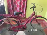 Atlas ladies cycle