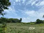 2.40 acre Land for rent