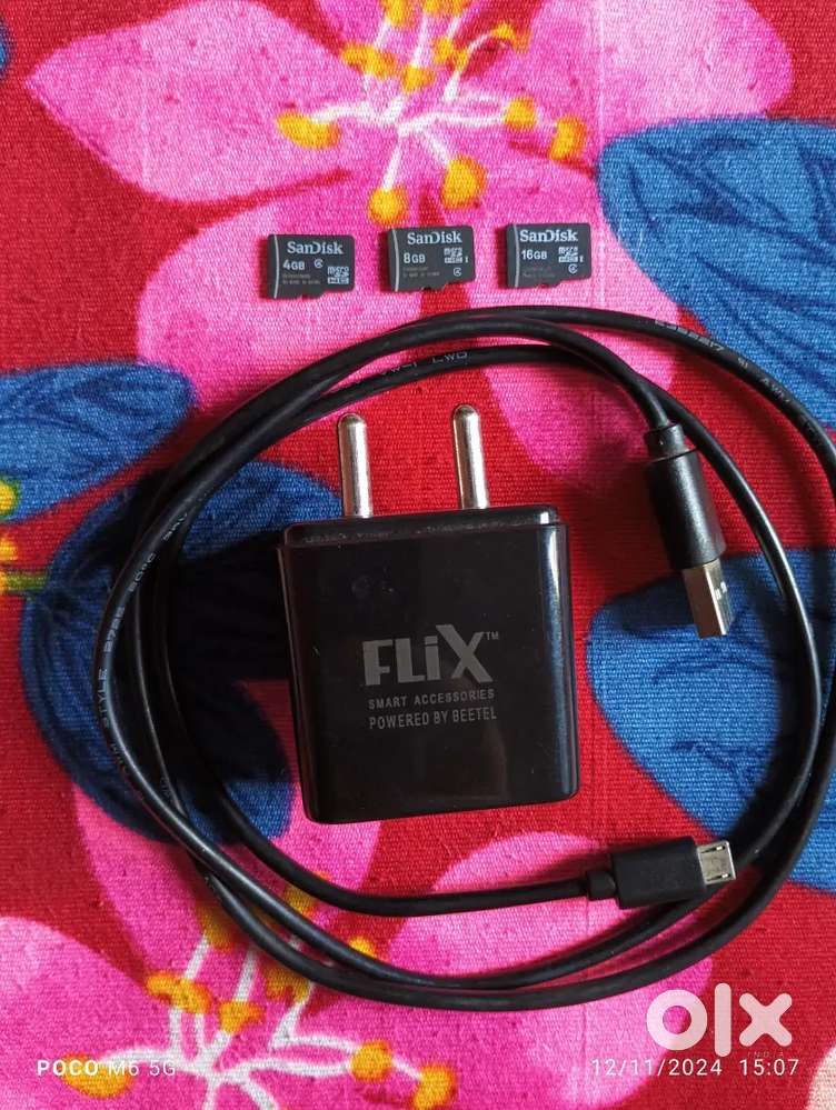 New branded charger and 3 SanDisk memory cards fixed 500/-