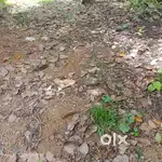 Plot for sale 36 cent near KUZHIVELIPPADI