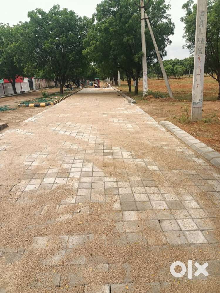 8500 Per guz ki rate main Farm house Mehla ajmer road ke pass
