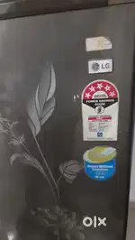 Lg 245 liter 5 star rating fridge working conditions