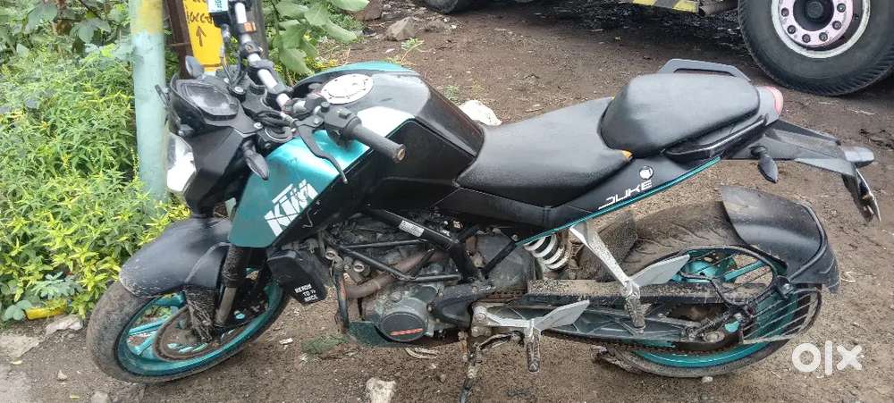 K.para puri