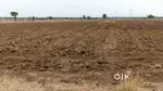4.30 ACRE LAND FOR SALE | PANDAN ROAD, 2ND WARDHA, MAUJA INDARA