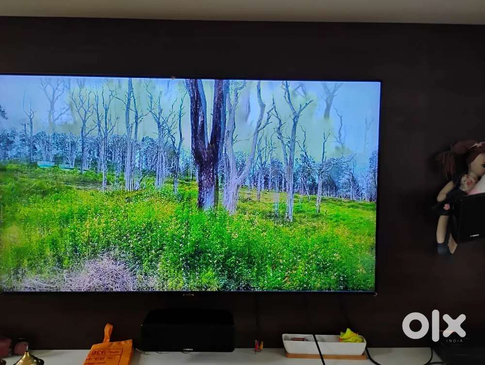 Samsung 55 inch LED TV