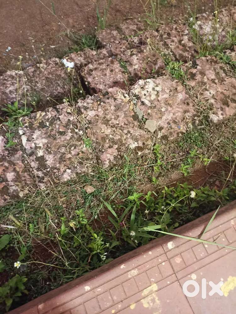 Land sell in padikkal near school