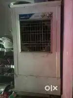 1 yer old cooler