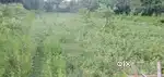 Land for sale 2Katha