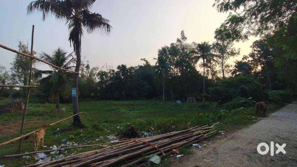 Residential / Commercial Plot near College, Dhaldighi, Gangarampur