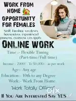 Patr time full time work from home job