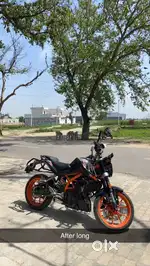 Duke 390 in mint condition