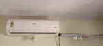 Voltas 150 Tan
