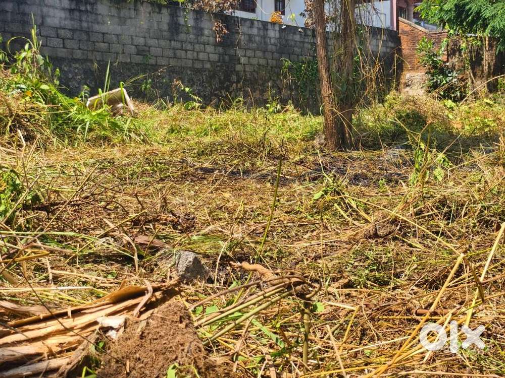 (ID-D 227345) Residential Land for Sale at Kumarapuram