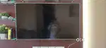 Amstrad 43 inch Smart Led Tv