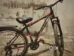 Only 15 days old