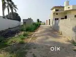 150 gajj plot for sale in Sarinh , Ludhiana. 7000/-per gajj
