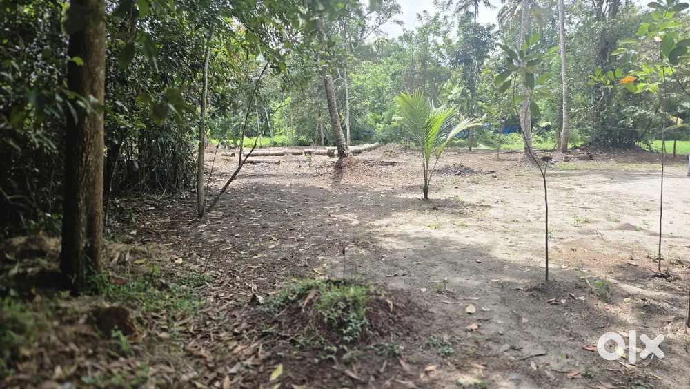 5cent 8 cent 10 cent plot പുത്തനമ്പലം ഒരു ലക്ഷത്തി 60