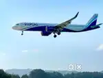 Airport Jobs
