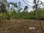 60 Cent Plot For Sale