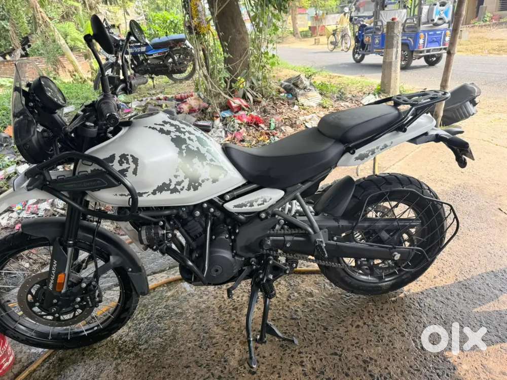 I want to  sell my 4 month old  himalayan 450 cammet white