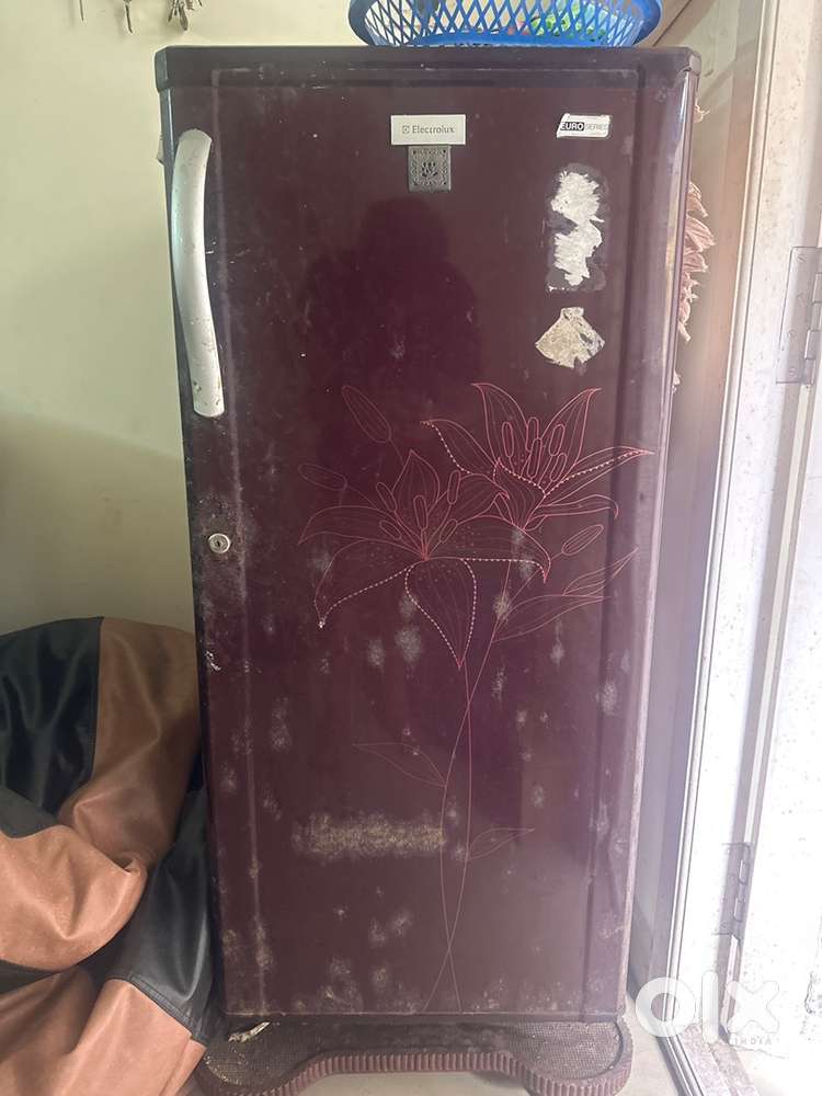 Electrolux Euro series