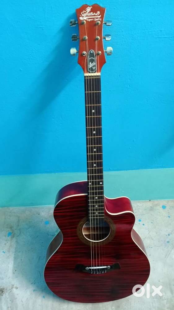 Aquastic Guitar