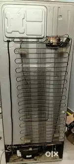 Good condition freeze,