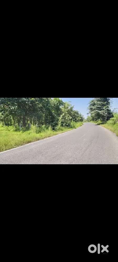 Distance -12km from kolad Highway