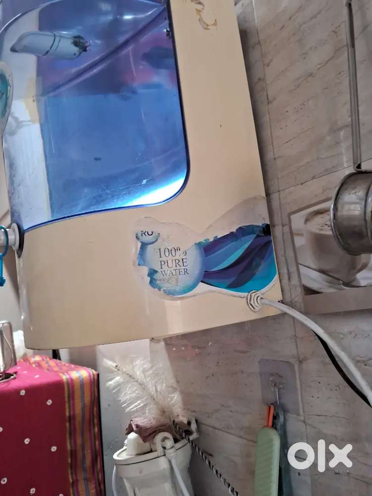 Water purifier Dolphin