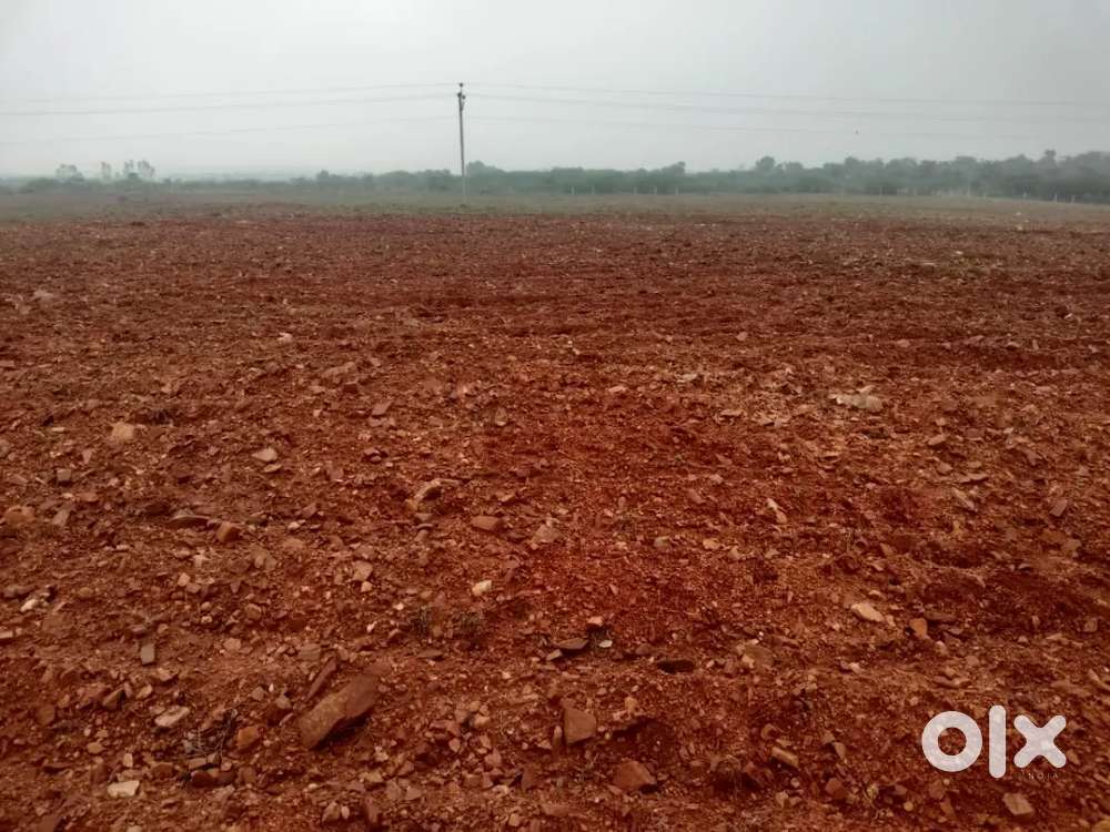 1acer Agriculture land for sale