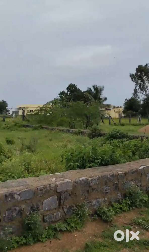 180sq.yr Plot for sale in Nustulapur, Karimnagar