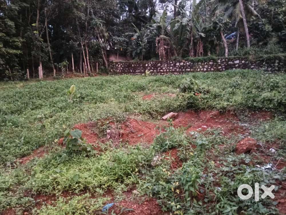 THIRUMALA KUNNAPUZA PLOT FOR SALE.4.CENT.8.50.LAKH