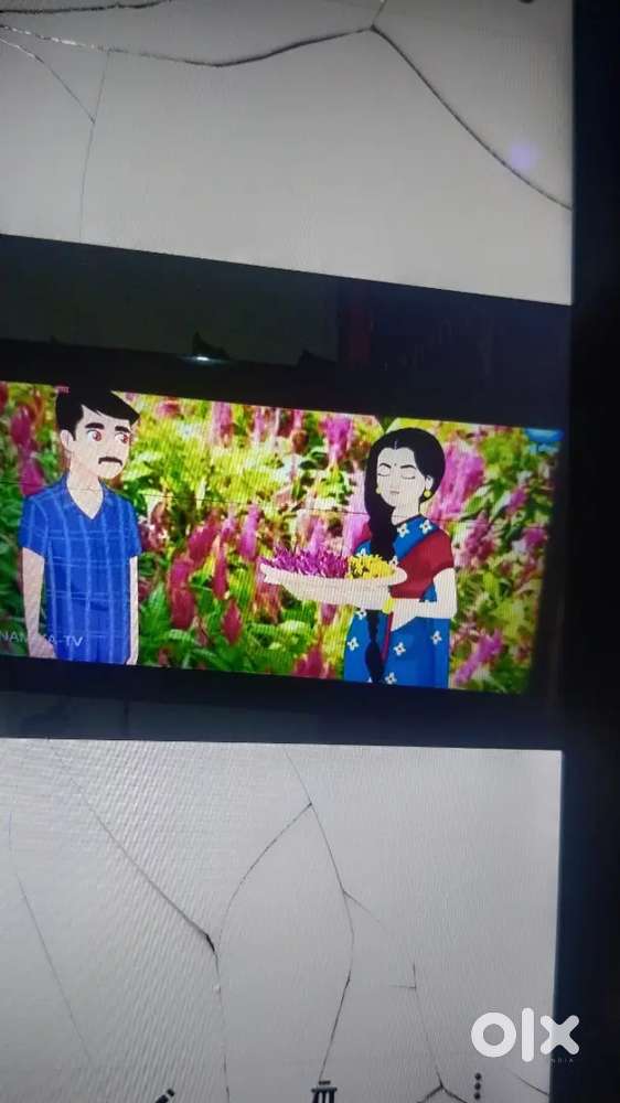 Samsung టీవీ. 43inch