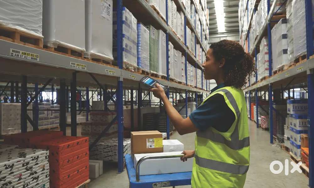 Werhouse packing job