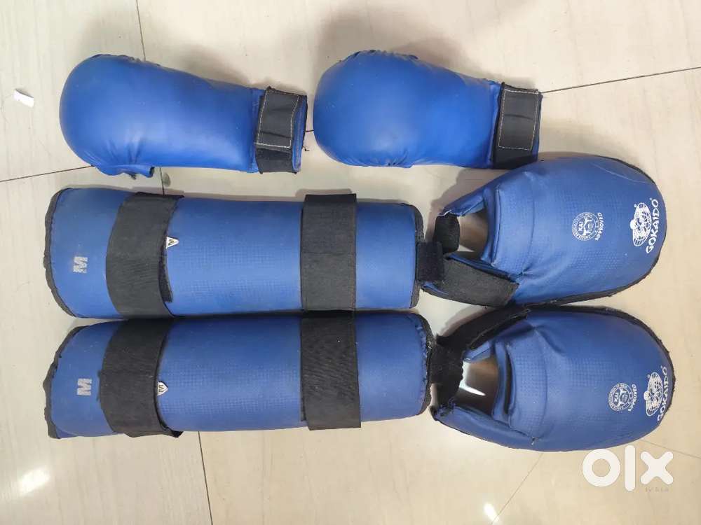 Gokaido Gloves and shin guard