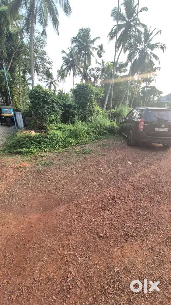 Flat/House plot for sale