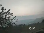MUNNAR ANACHAL 4 ACRE WITH 17000 RESORT PERMIT