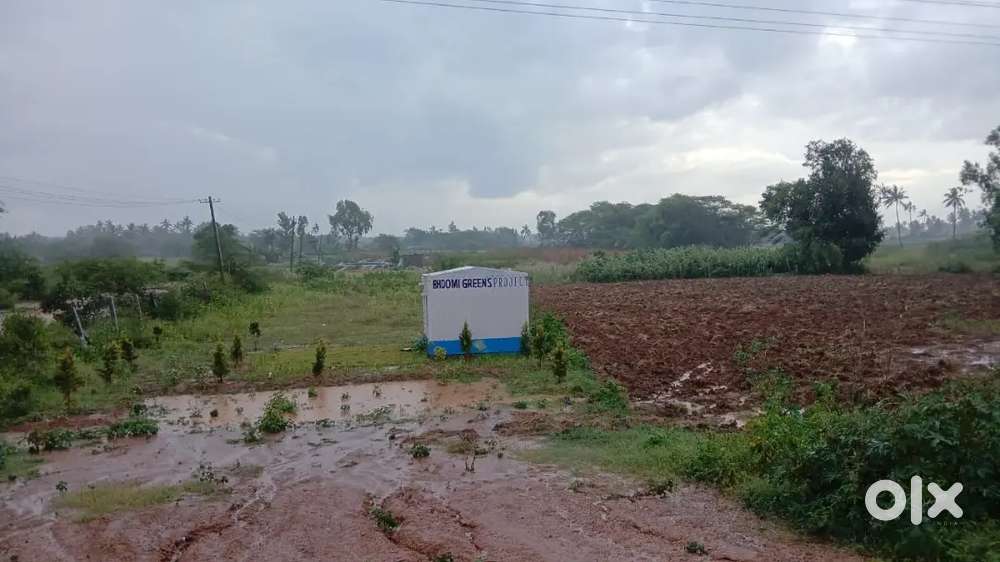 Royal sky properties