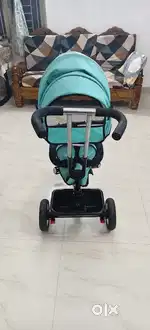 Baybee Trike