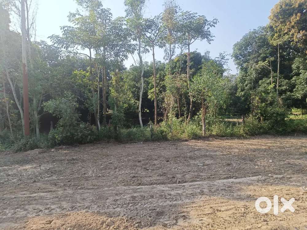 11 बीघा आम का बाग 45 लाख रुपए बीघा मिर्जापुर आन रोड