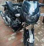 Pulser 150