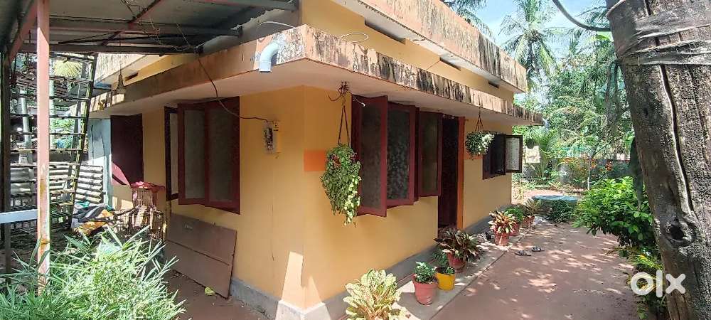 Kayamakulam near kp road paripra