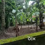 5 cent plot for sale