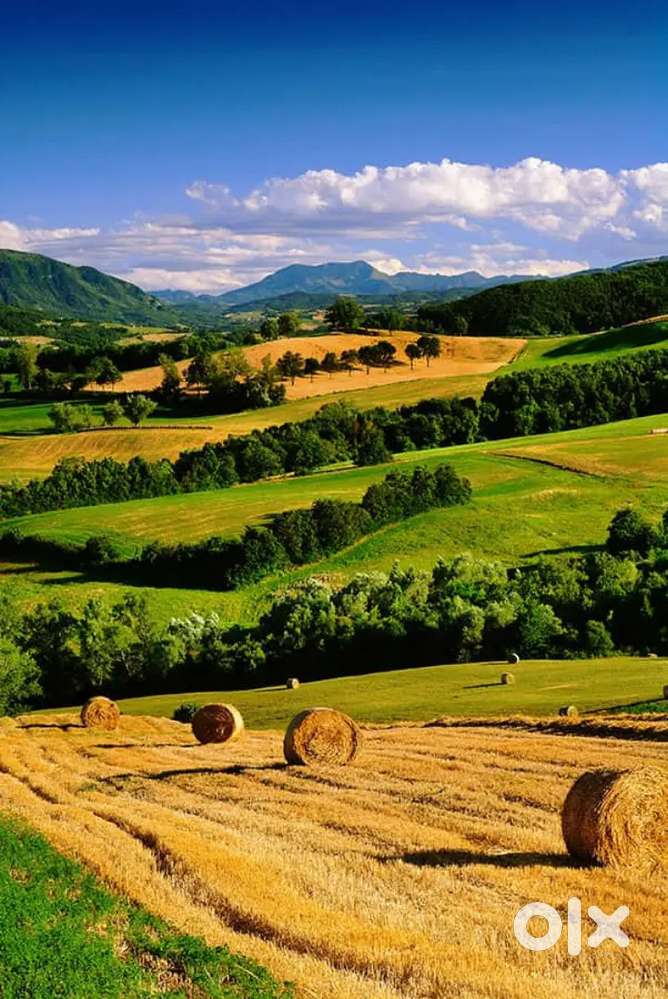 RESIDENTIAL PLOT FOR SALE, SANQUELIM, AREA 480SQ MTS, PRICE@4900/SQMTS