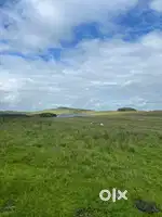 We are offering two premium residential plots for sale.
