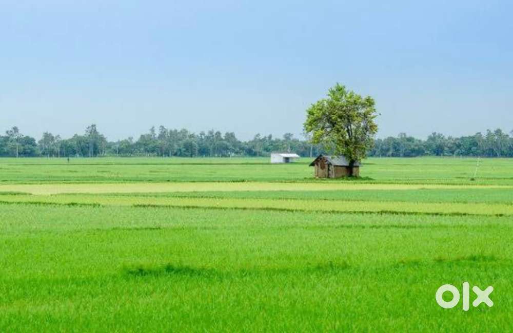 Khet area 2acer 45 dismil genral plot