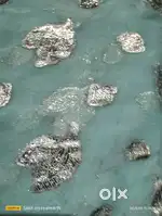 लेडीज सारी
