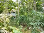 25 Cent land for Sale near Gandhipuram Sreekariyam