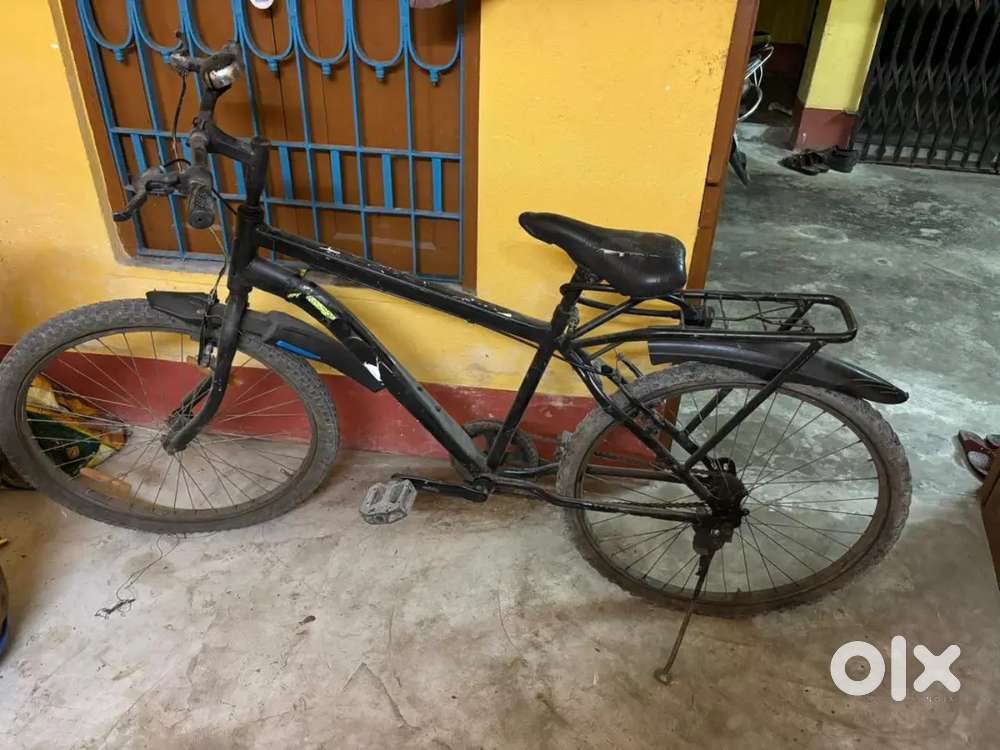 6 month old scycle